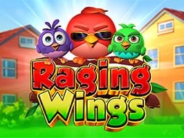 Raging Wings game icon