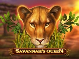 Savannahs Queen game icon